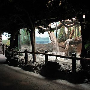 Jungle Trails - Diana Monkey Exhibit