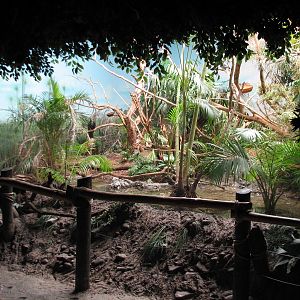 Jungle Trails - Interior African Aviary