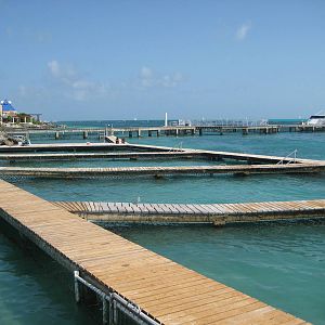 Holding pens for Dolphins