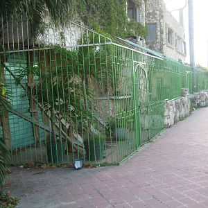 Old tiger cages along the main road!