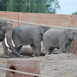 Chieng Mai with the two eleven year old females