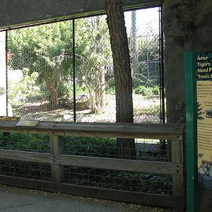 Forests - Tiger Exhibit Viewing Area
