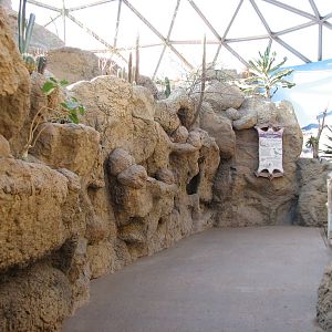 Deserts - Exhibit Path