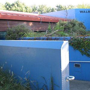 Oceans - Walrus Exhibit Entry