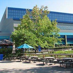 Oceans - Dolphin Building