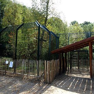 Ree Park - Katanga Hill