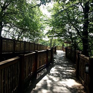 Ree Park - Katanga Hill Walkway