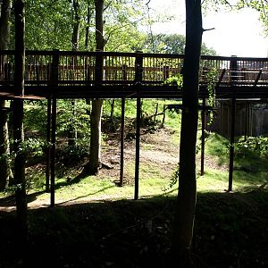 Ree Park - Katanga Hill