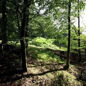 Ree Park - Katanga Hill