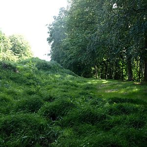 Ree Park - Katanga Hill