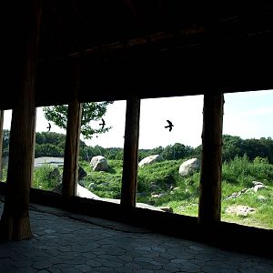 Ree Park - Katanga Hill