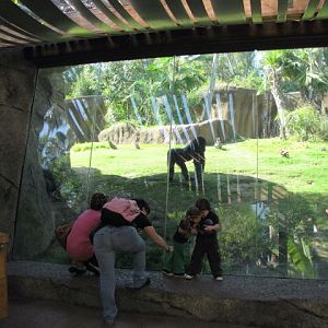 Bachelor Group Glass Viewing Area