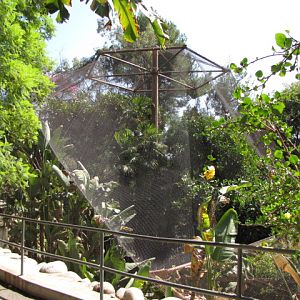 Original Aviary Circa 1966