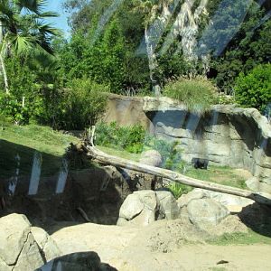 Gorilla Habitat: Family Group