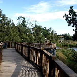 Ree Park - North America