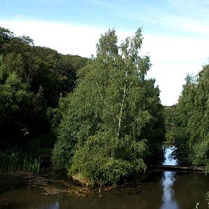 Ree Park - Raccoon island