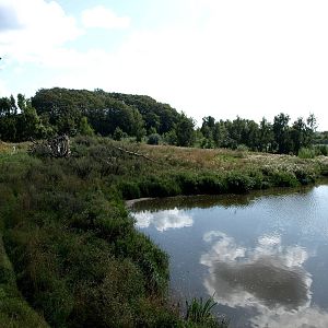 Ree Park - Bear Lake