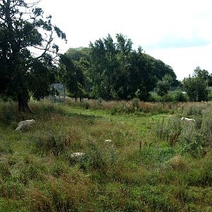 Ree Park - Bear Lake