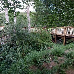 Ree Park - North America