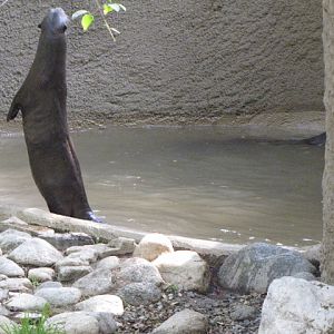 Curious About Something