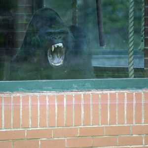 Say Hello to your new stepfather