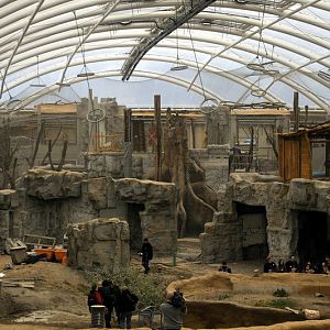 Orang-Utan indoors at ZOOM Asien