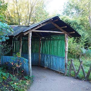 Access to viewing area for Black howler monkey indoor exhibit, 2022-10-09