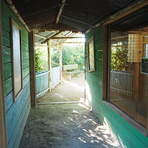 Viewing area for Black howler monkey indoor exhibit, 2022-10-09