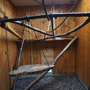 Black howler monkey indoor exhibit, 2022-10-09