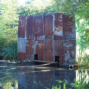 Black howler monkey building, 2022-10-09