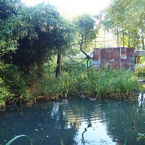 Black howler island, 2022-10-09