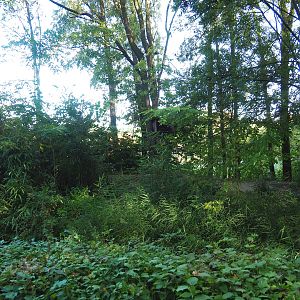 Black howler island, 2022-10-09