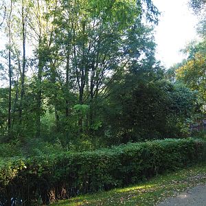 Black howler island, 2022-10-09