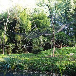Yellow-breasted capuchin island, 2022-10-09