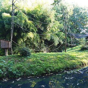 Yellow-breasted capuchin island, 2022-10-09