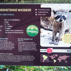 Signage example - Crab-eating raccoon signage, 2022-10-09