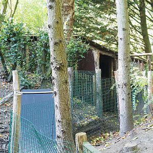 Collared peccary holding area, 2022-10-09