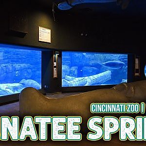 Manatee Springs Walk Through | Zoo Tours