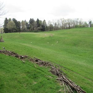 18-acre Multi-species Savanna - 5/7/23