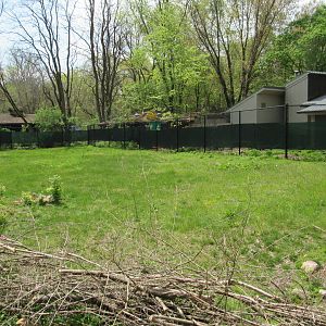 Cassowary Exhibit (Left side) - 5/7/23