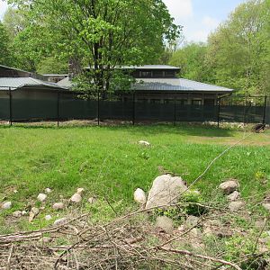 Cassowary Exhibit (Right side) - 5/7/23