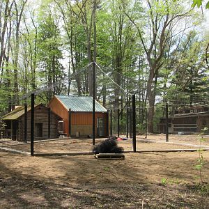 New Exhibit being constructed near the entrance - 5/7/23