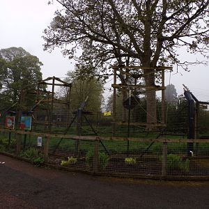 Lion-tailed macaque enclosure 7.5.23