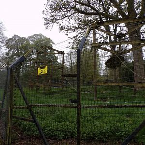 Lion-tailed macaque enclosure 7.5.23