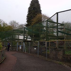 First lar gibbon enclosure 7.5.23