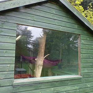 First lar gibbon enclosure indoors 7.5.23