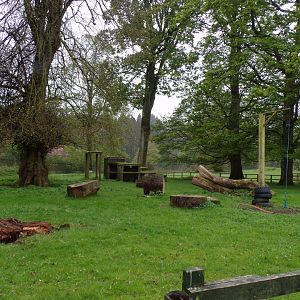 First African pygmy goat enclosure 7.5.23