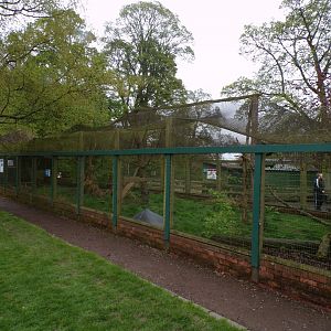 Long-nosed potoroo and Violet turaco enclosure 7.5.23