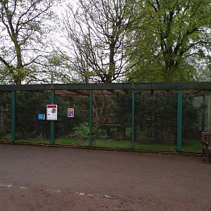 Scottish wildcat enclosure 7.5.23