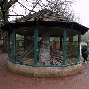 Ferret enclosure 7.5.23